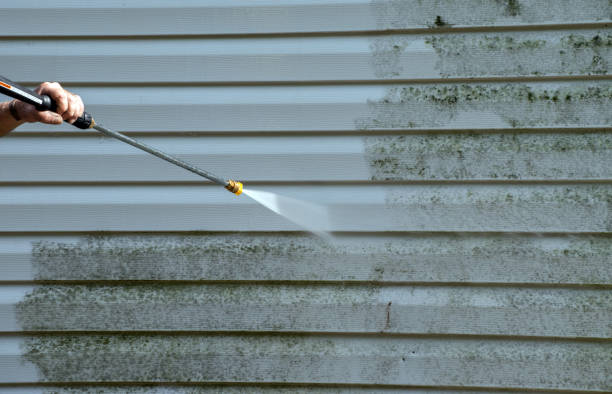 Best Mold Cleaning Services  in Berwick, LA